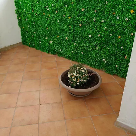 Angolo Di Sicilia Palerme