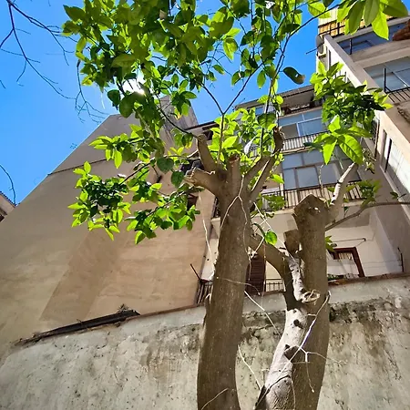 Angolo Di Sicilia Maison d'hôtes Palerme